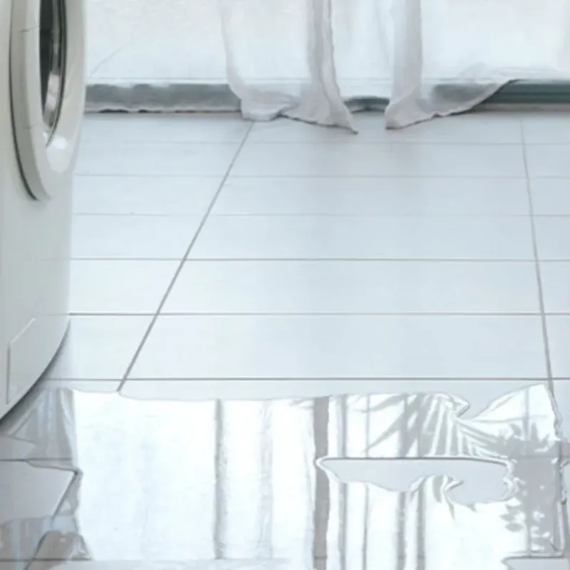 Appliance Leak Cleanup in Sussex, WI