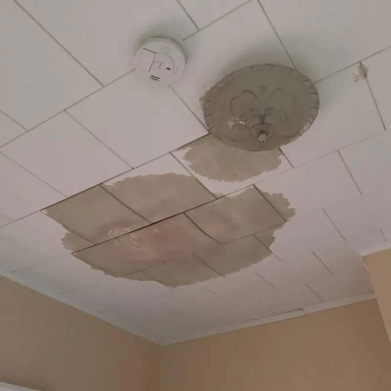 Ceiling Water Damage Repair in Sussex, WI