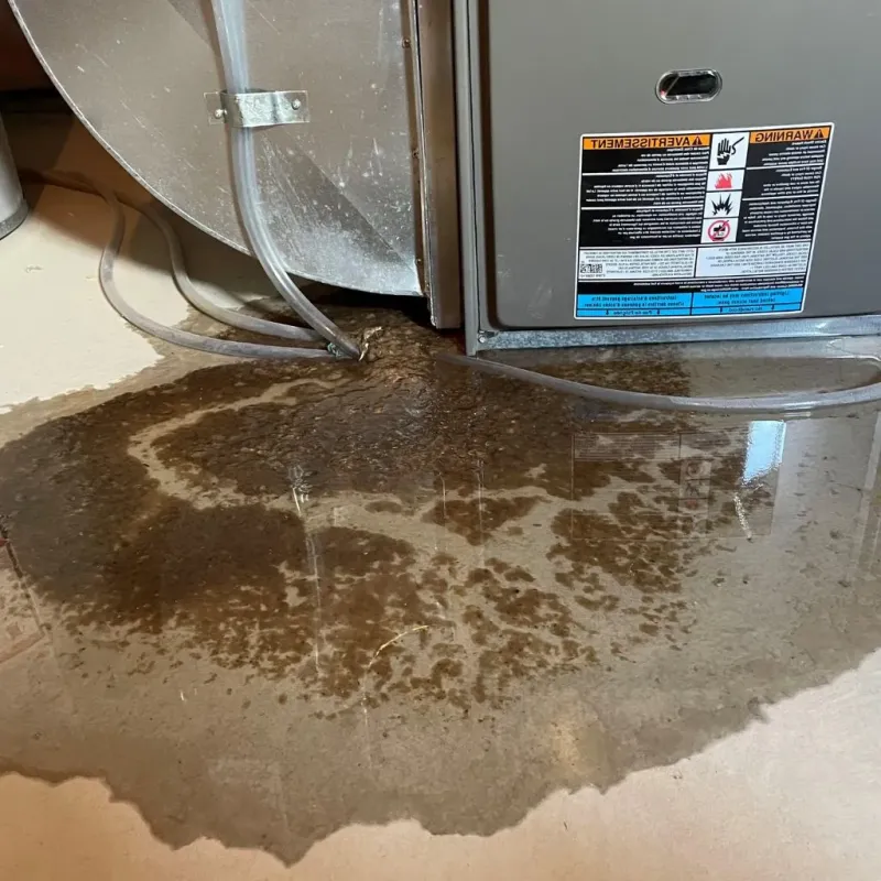 Pipe Burst and Leak Restoration in Sussex, WI